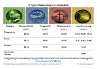 a-szent-haromnap-varosunkban-page-0001