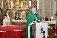 Veres András győri megyéspüspök mutat be szentmisét